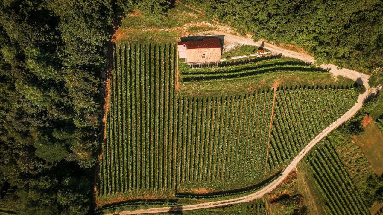 Sleme House ξενώνας Krška Vas Εξωτερικό φωτογραφία